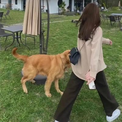 辣妈辣妹
